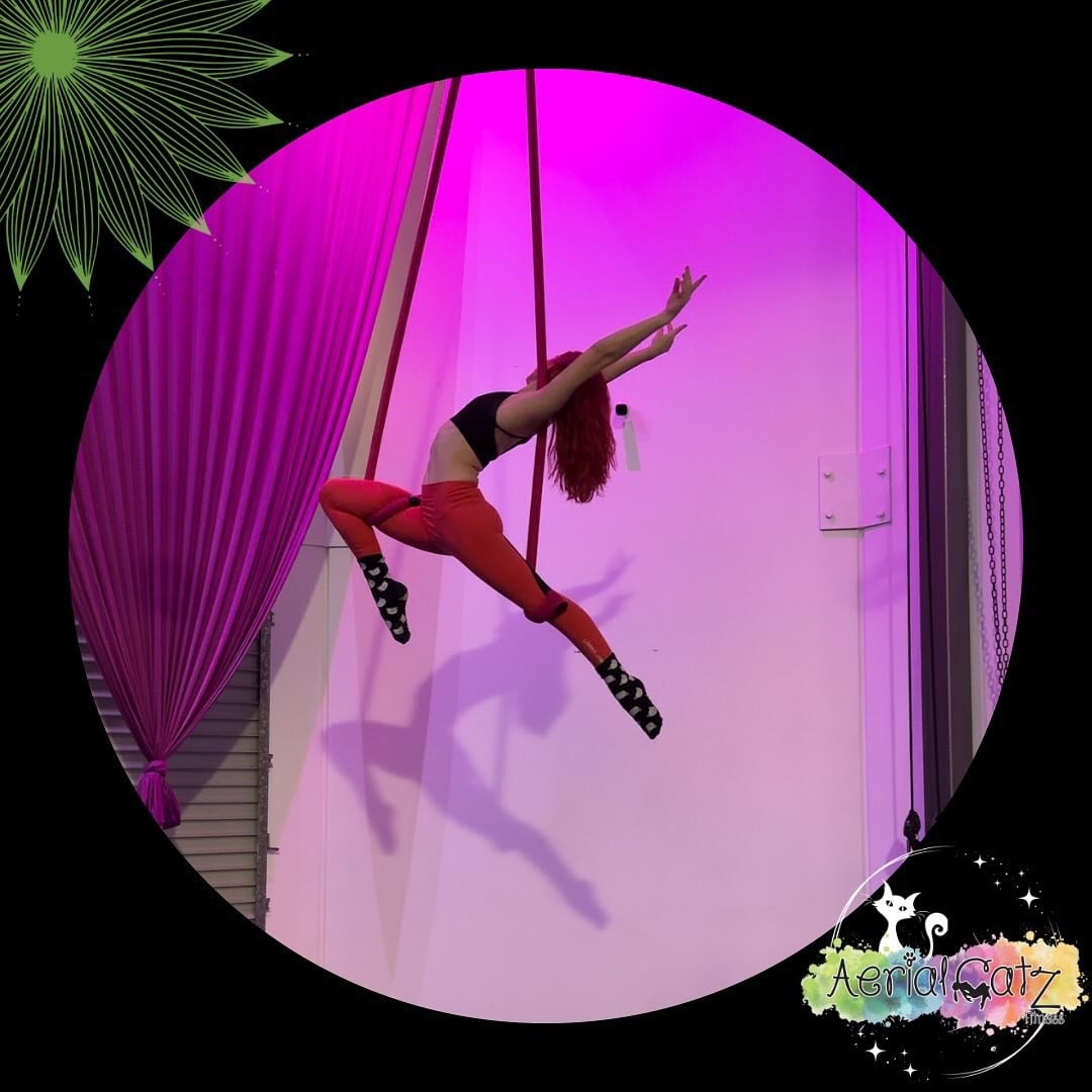 AerialCatz Maroochydore