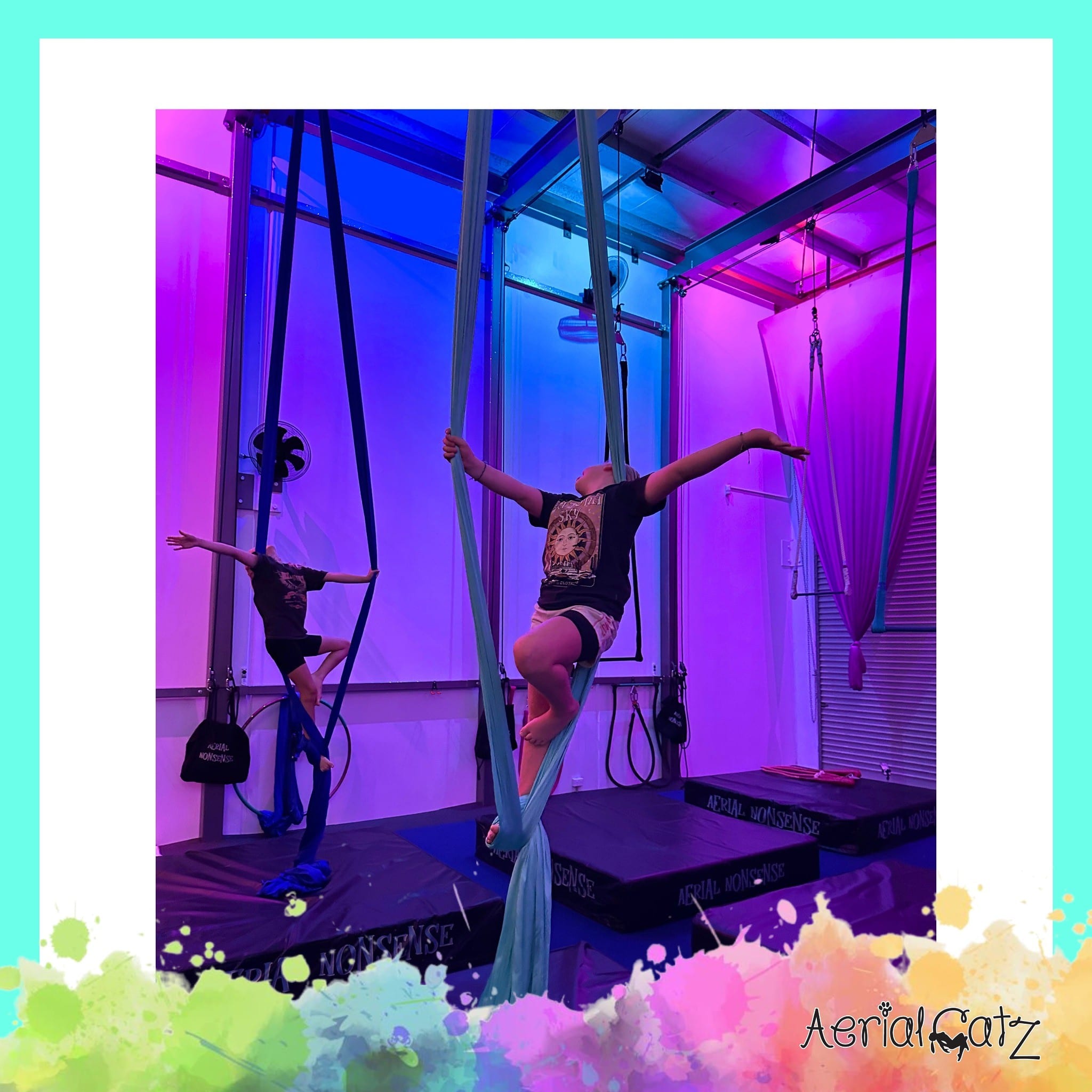 AerialCatz Maroochydore